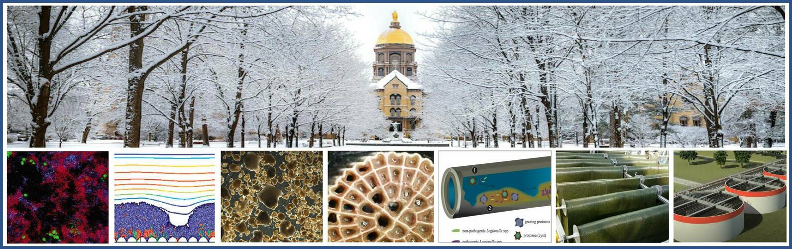 Collage including the golden dome and biofilm samples